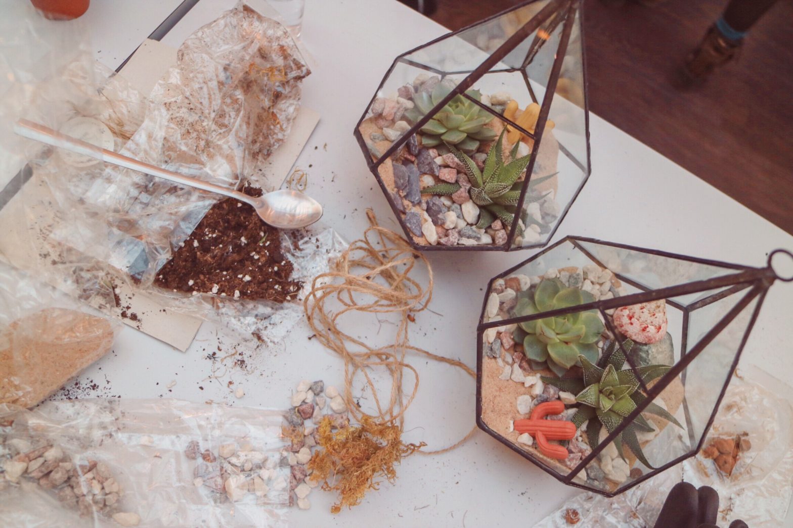 How to make a Terrarium - image of two terrariums made up with remnants of soil and pebbles around the table