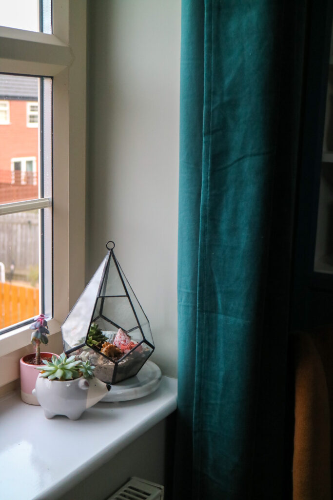 close up of the curtains and windowsill with plants on it