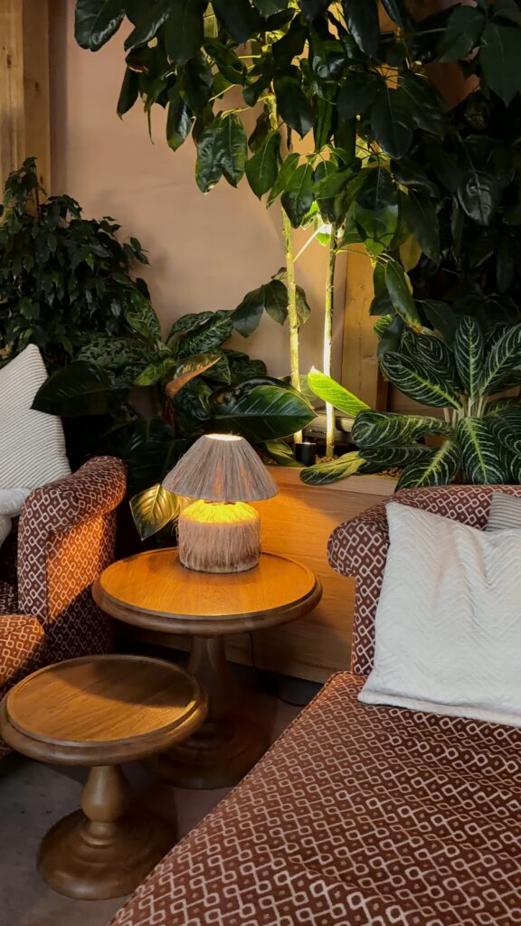 close up of decor at the pachanga pool club and spa 